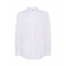 SHA OXF WH XL